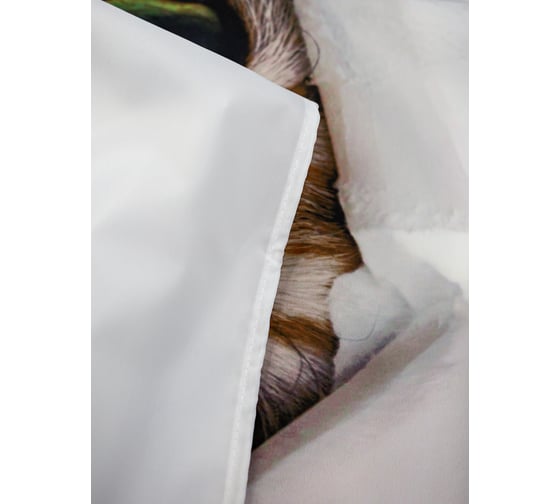 Комплект Bath Plus штора 180x200 д/в и кольца cat3 (white) akch-21328