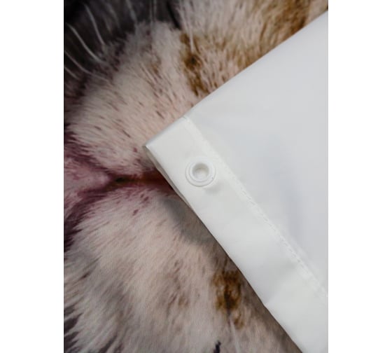 Комплект Bath Plus штора 180x200 д/в и кольца cat3 (white) akch-21328