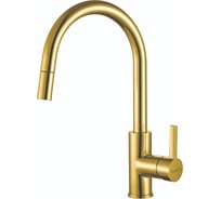 Смеситель для кухни ALVEUS TESLA-P MONARCH GOLD 1129050