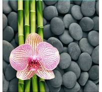 Штора для ванной Zalel Фотопринт 180*180 Камни Z-004 без колец 543228