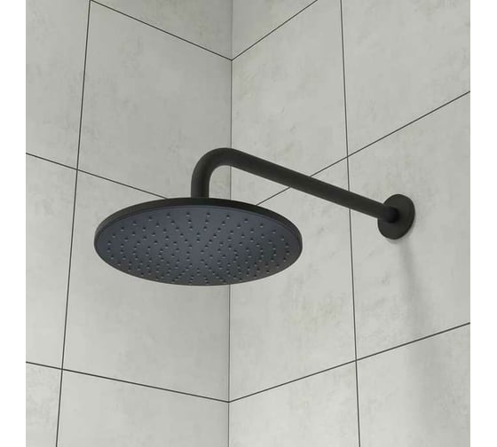 Душевая насадка IDDIS Optima home верхняя, круглая, черная OPH22BRi64