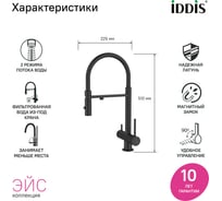 Смеситель для кухни с фильтром и гибким изливом IDDIS черный матовый, Эйс (Ace) ACEBLFFi05