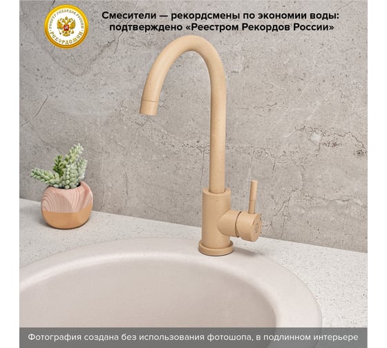 Смеситель для кухни Ростовская мануфактура сантехники РМС SUS124BNK-017F