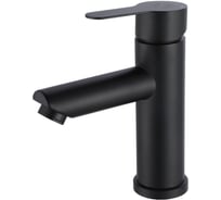 Смеситель для умывальника РМС SUS124BL-001F