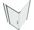 Душевой уголок Bravat Blackline 900x900x1950 BS090.3113A 00258929 3