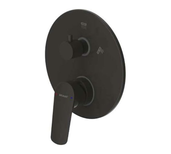 Встраиваемый смеситель Bravat Rhein PB8429564BW-2-ENG 00260689