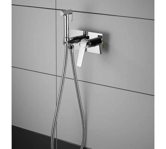 Встроенный гигиенический душ SHEVANIK хром S8005