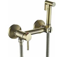 Встроенный гигиенический душ SHEVANIK бронза S107Q