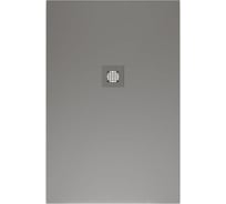 Литьевой поддон ALLEN BRAU Priority 8.31006-PGM 1200x800, без сифона/накладки, платина 00301330
