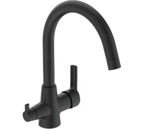 Смеситель для кухонной мойки Vidima UNO Цвет SILK BLACK (черный шелк с клапаном для подключения фильтра) BA356XG