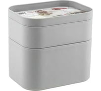 Органайзер PROFF PLASTIK 3-секционный 150x110x85 мм MINI с разделителями, серый, пластиковый ИН-2601872с