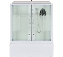 Душевая кабина Niagara Premium NG-3170-01 00256107