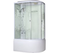 Душевая кабина Niagara Premium NG-310-01LN 00256104