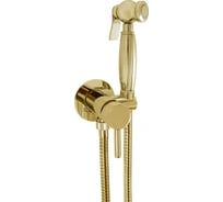 Гигиенический душ (набор) со смесителем Giulini G Futuro Classic золото FSH25-1531O