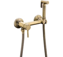 Смеситель с гигиенической лейкой Frap f7503-4 бронза 550852