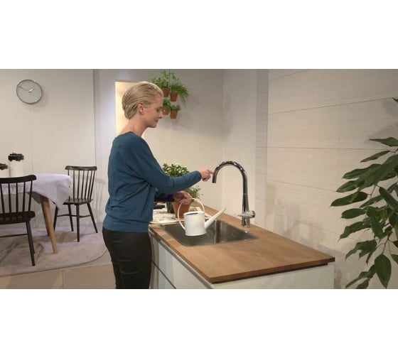 Смеситель для кухни Hansgrohe Talis s 220 72814000 00000056647