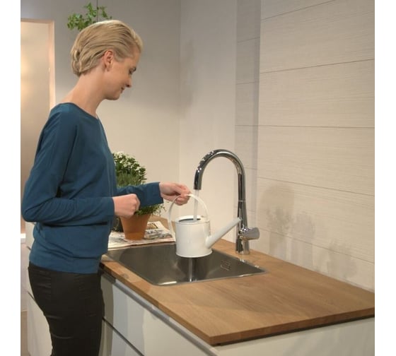Смеситель для кухни Hansgrohe Talis s 220 72814000 00000056647