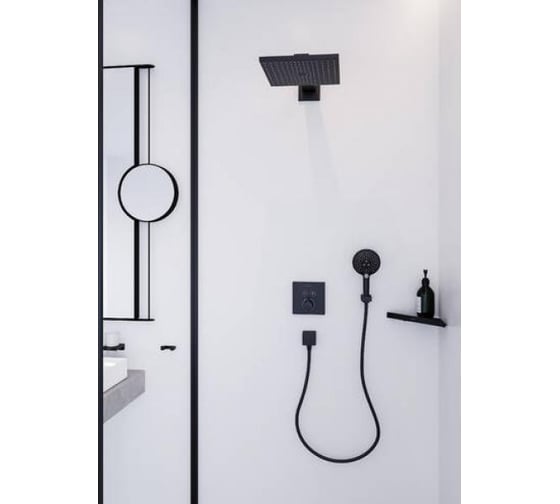 Ручной душ Hansgrohe Raindance select s 120 3jet матовый черный 26530670 00000082216