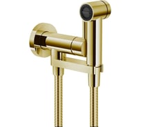 Комплект для гигиенического душа Nobili встроенный смеситель, гигиеническая лейка, шланг, золото av00600gdp 00000099938