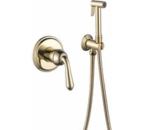 Встроенный гигиенический душ Rose R0205E