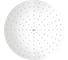 Верхний душ GROHE Rainshower 310 Mono, белая луна 26561LS0 1