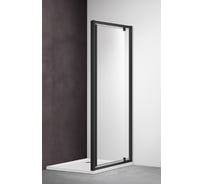 Душевая дверь Aquatek распашная, 1000x2000 aq ari pi 10020bl 00000126047