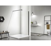 Душевая перегородка Aquatek walk in с держателем aq wiw 12020bl 00000126544