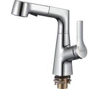 Смеситель для кухни D-Lin с вытяжным изливом и 2-режимным аэратором, хром D158374