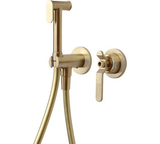 Гигиенический душ BRONZE DE LUXE 1760'S LOFT матовое золото 3253CG