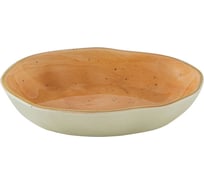 Мыльница ORION SD-1010CR