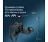 Набор 2в1 AM.PM X-joy смеситель, верхний душ d 220 мм, ручной душ 110 мм, 1 функция, душевая штанга F42885A14 12
