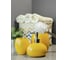 Комплект Bath Plus giallo set3ww 01 W-CE0082PA-SET3WW 7
