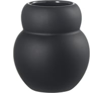 Стакан для зубных щеток Bergenson Bjorn Markl черный BB000074