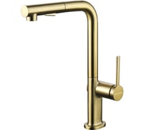 Смеситель для кухни Paulmark Neo, брашированное золото Ne214419-BG