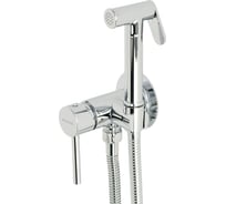 Гигиенический душевой набор Migliore FORTIS смеситель встраиваемый, с держ./лейка/шланг латунь, хром 31553