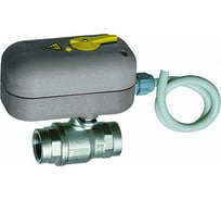 2-х ходовой зон. шаровой кран с ручной деблокировкой FAR 220 В, 1/2", ВР, 8 сек FA 300716 1208