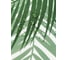 Штора для ванной EG Albero 180x180 см 19170 8