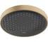 Верхний душ HANSGROHE Rainfinity 360 1jet шлифованная бронза 26231140 00000089723 1