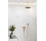 Верхний душ HANSGROHE Rainfinity 360 1jet шлифованная бронза 26231140 00000089723 3
