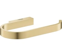 Держатель для туалетной бумаги Grohe Selection без крышки, холодный рассвет матовый 41068GN0