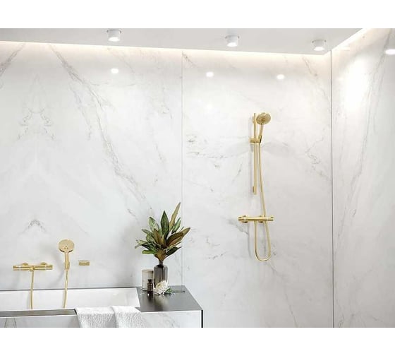 Ручной душ HANSGROHE Raindance Select S 120 3jet полированное золото 26530990 00000080715