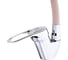 Смеситель для кухни SANDAY SD46506-10 2