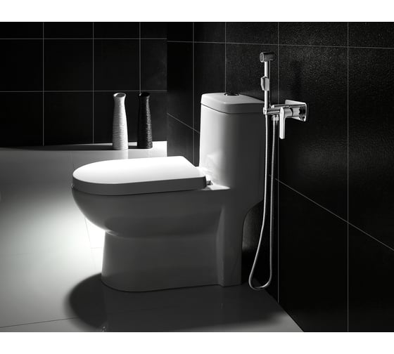 Встраиваемый смеситель с гигиеническим душем Lemark Plus Grace LM1519C