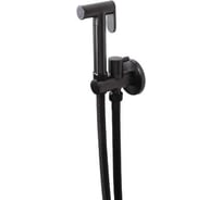 Гигиенический смеситель Maxonor PL6501-9