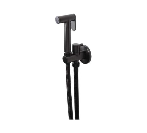 Гигиенический смеситель Maxonor PL6501-9 1