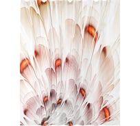 Шторка для ванной WasserKraft Nau SC-77103