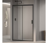 Душевая дверь RGW 160x195 PA-016 в чёрный, прозрачное, 6 мм 350801616-14