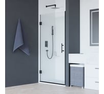 Душевая дверь RGW 80x195 HO-011-в чёрный, прозрачное, 8 мм 350601108-14