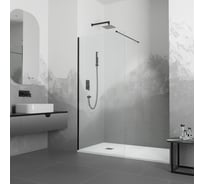Душевая перегородка RGW 110x195 WA-010 в чёрный, прозрачное, 8 мм 351001011-14