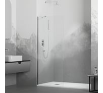 Душевая перегородка RGW 80x195 WA-102 хром, прозрачное, 6 мм 351010208-11